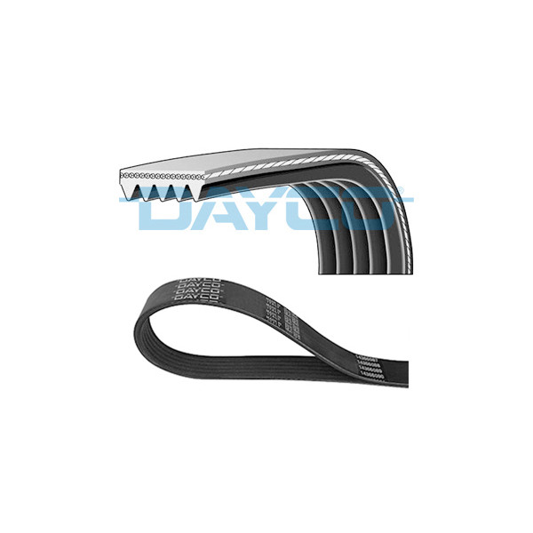 Dayco 5 Ribbed Belt 5PK x 1435 mm image