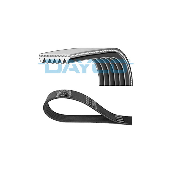 Dayco 6 Ribbed Belt 6PK x 1019 mm (Elastic Belt) image